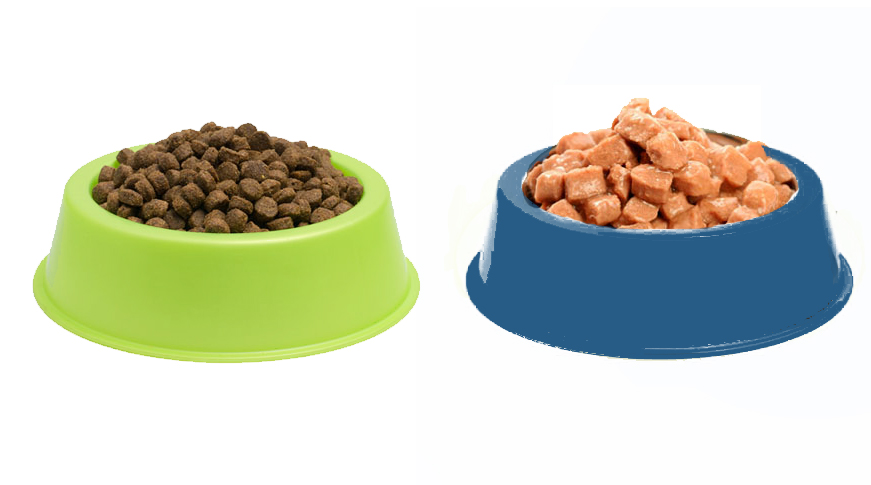 croquettes ou pâtée